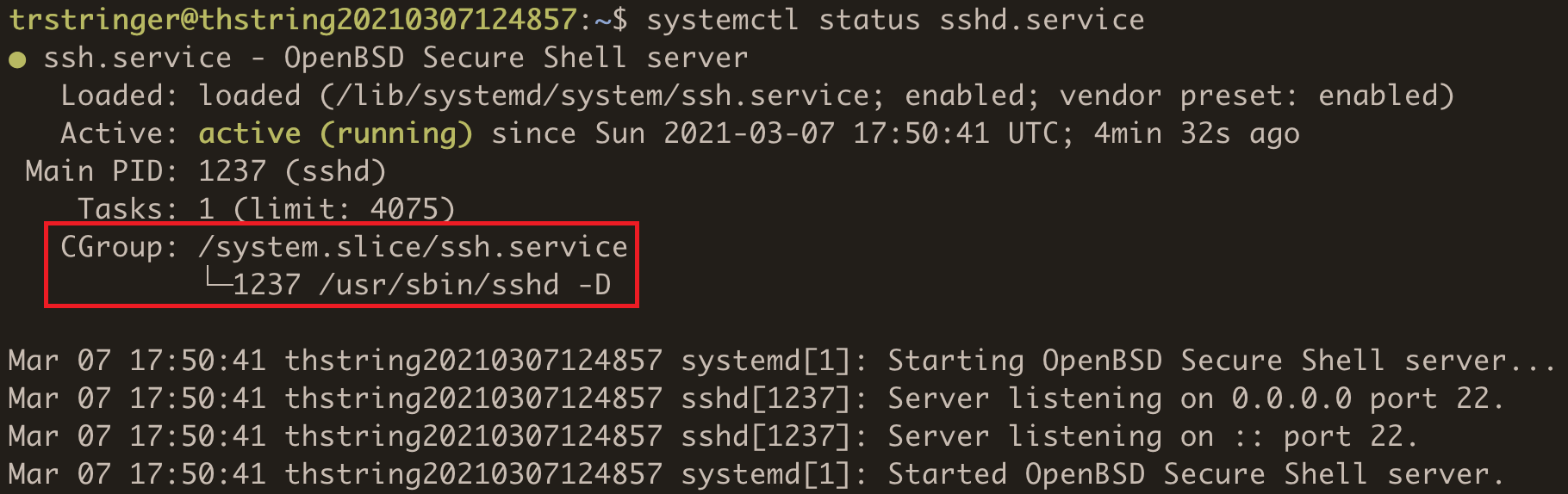 ssh.service status cgroup